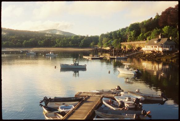 A film photo of a small harbor in Maine. The late afternoon light is very warm. The photo was taking shortly after a rain storm passed through, a fresh feel to the scene. There is a float in the foreground with many small skiffs and punts tied up. There are a few larger boats on moorings and a building with a ramp and float on the shore in the right-hand side of the frame.
