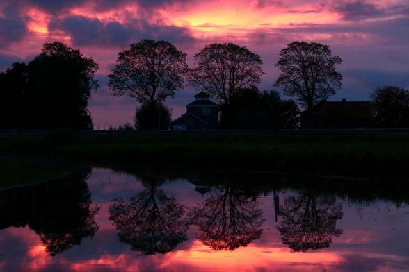 Three trees stand in a row along a canal at sunset. The trees are silhouetted, and both the trees and the sunset are reflected in the calm, mirror-like canal water. Behind the trees are silhouettes of farm buildings.