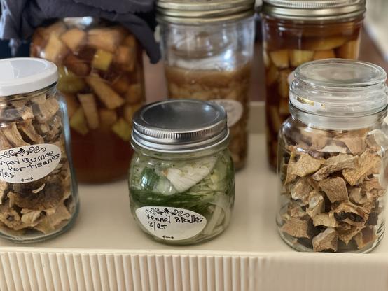 6 jars of preserves including the ferments, as described.