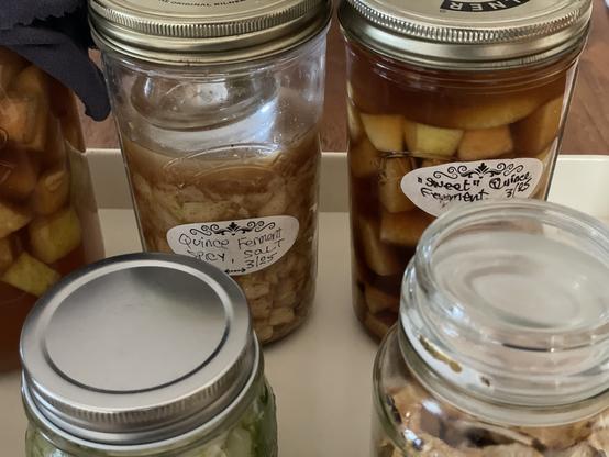 Close up on the salt and sweet quince ferments.