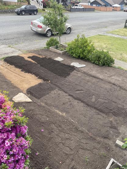 Laying out a layer of lawn soil over the dirt and levelling the sides and middle and prepping them for the stepping stones.