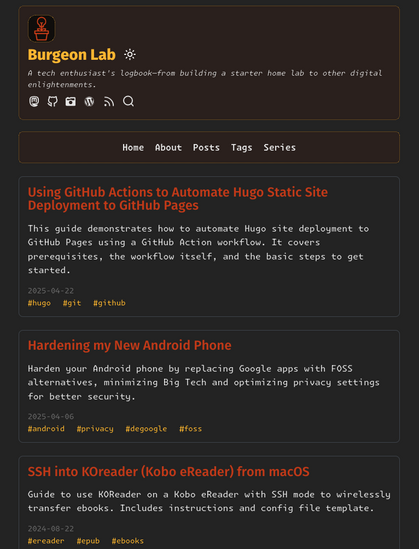 Screenshot of the new look of www.burgeonlab.com.