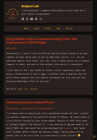 Screenshot of the old look of www.burgeonlab.com.