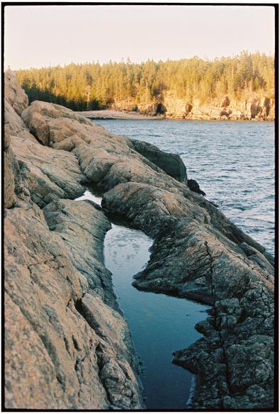 A film photo of a dramatic, sloping pink granite ledge-y shoreline with a long tide pool. The tide pool is the main focus of the photo, its surface is reflecting a blue sky and lightly rippled by wind. The ocean is visible in the right of the frame and there is a cobblestone beach in a cove in the background. The trees above the beach are tinged golden by the afternoon sunlight.