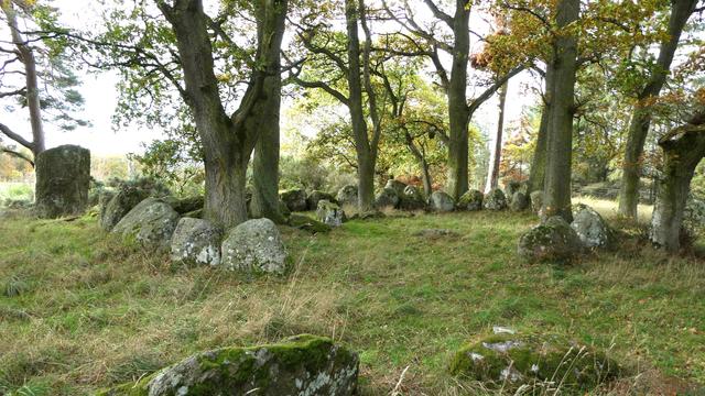 Set in the shade of a mature oak trees, a 12-metre diameter circle of boulders once forming the edge of the Clava Cairn. On the left is a large, outlying, standing stone.