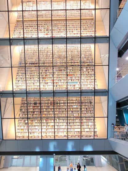 Picture of The Peoples Bookshelf. 
Wel 3 of the 5 stories anyway.  Beautifully lit from above.