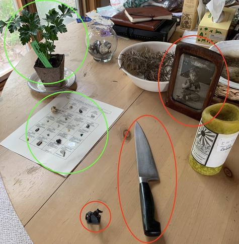 A tabletop showing a number of items flagged as either stressful (such as a knife) or calming (such as a houseplant).