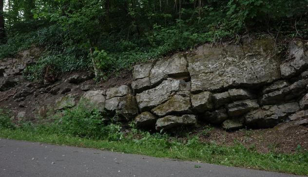 These rocks at the edge of the Vennbahnweg, a cycling and hiking trail that was once a railway line and stretches 125 km from Aachen through Belgium to Luxembourg, were once the bottom of a sea.
