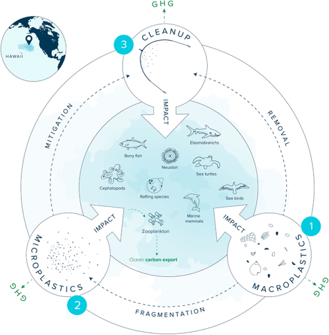 Evaluating the environmental impact of cleaning the North Pacific Garbage Patch