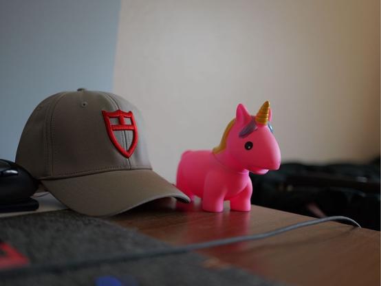 A pink unicorn squeaky toy. A grey Tudor hat with a red Tudor logo
