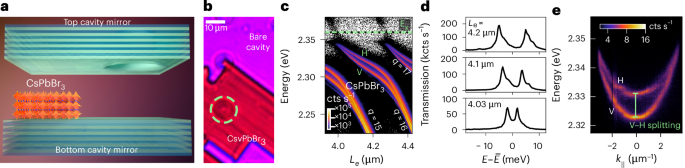 Continuous-wave nonlinear polarization control and signatures of criticality in a perovskite cavity