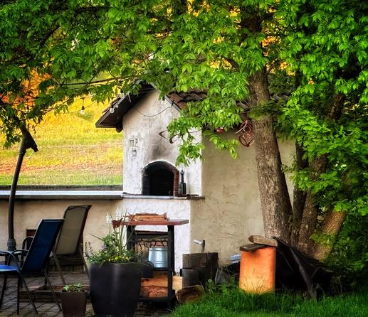 Green trees surrounding a stuccoed wood oven in warm evening light.