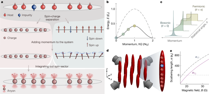 Observing anyonization of bosons in a quantum gas