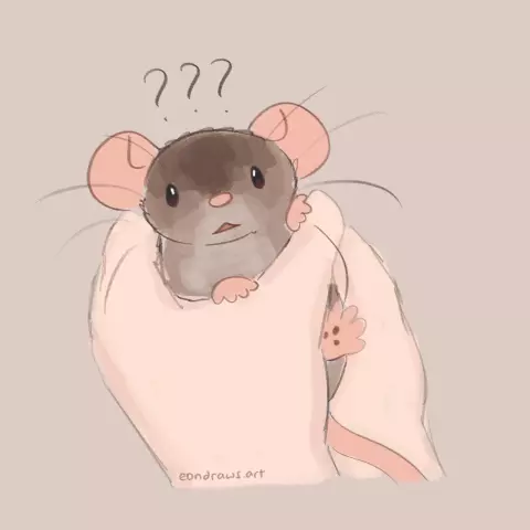 a brown dumbo pet rat held in human hands. the hands are wrapped around him. he clings onto a finger and stares up in confusion, with question marks drawn above his head.