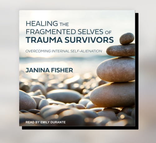 Cover art for the book "healing the fragmented selves of trauma survivors: overcoming internal self-alienation" by Janina Fisher. The cover shows a stack of rounded beach rocks on a shoreline of many rounded rocks.