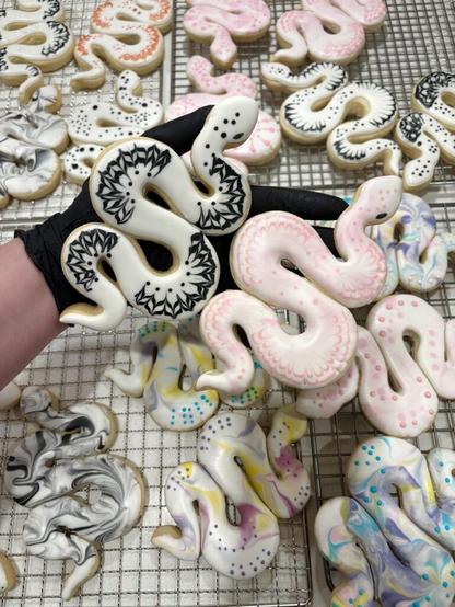 Soooo happy with these - sneak peek for you guys. Some of my snakes for the market