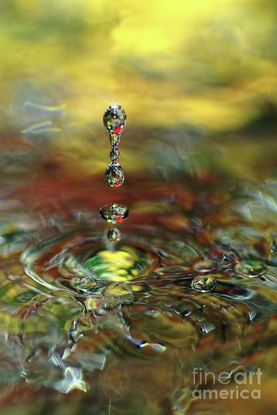 **ACHIEVED EQUAL 1ST PLACE IN FAA CONTEST - "Fun with Water - Colorful High-Speed Water Droplet Photography" May 2018

Fun with water with the colors of the surrounds reflecting in the water and refracting in the droplets.
Kaye Menner Photography.
https://kaye-menner.pixels.com/featured/liquid-ornaments-by-kaye-menner-kaye-menner.html

THE FINE ART AMERICA LOGO WILL NOT APPEAR ON PURCHASED PRINTS OR PRODUCTS.

https://kaye-menner.pixels.com/featured/liquid-ornaments-by-kaye-menner-kaye-menner.html