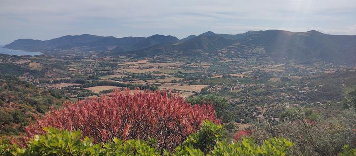 View from a hillside towards a wide sunlit mediterranean valley with some fields and village. A sliver of sea is on the left, and distant forested mountains rise on the other end of the valley.