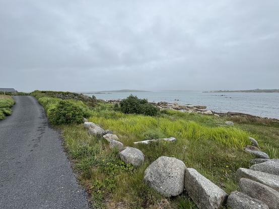 A small road along the coast of Connemara, south of Roundstone.