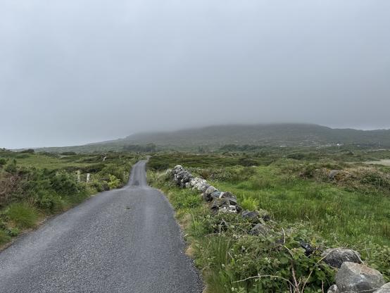 Foggy mountains.