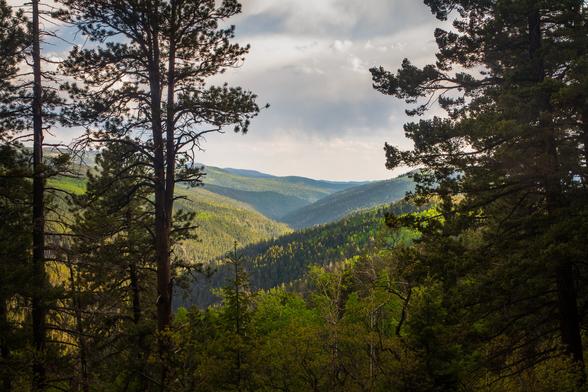 looking out at mountains going off in the distance on the way to Hamilton Mesa in New Mexico's Carson National Forest.