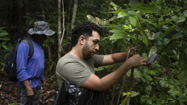 What would happen if the Amazon rainforest dried out? This decades-long experiment has some answers