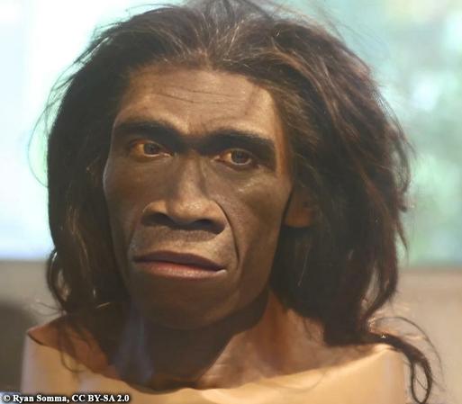 Homo erectus in Java: 140,000-year-old fossils found in submerged river valley

A recent discovery in the seas off Java’s northeast, in the Madura Strait, is giving a previously unimaginable insight into the life of Homo erectus in the late Middle Pleistocene. Researchers dredged the seabed and found more than 6,000 fossilized remains, including two fragments of skull that have been identified as Homo erectus—the first time fossils like these have been found in the submerged lowlands of ancient Sundaland...