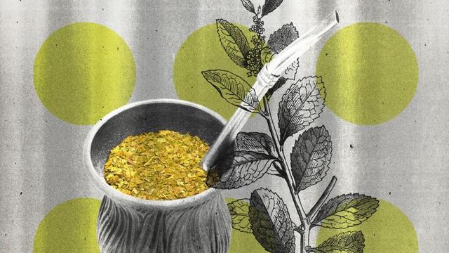 The Benefits of Yerba Mate Tea, Which Is Like Coffee Without the Crash