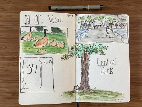 a few sketches depicting different sights in new york city including a couple of geese and their hatchlings, the entrance to little island, a tree and squirrel in central park, and a big stone outside pier 57 with the number 57 on it.