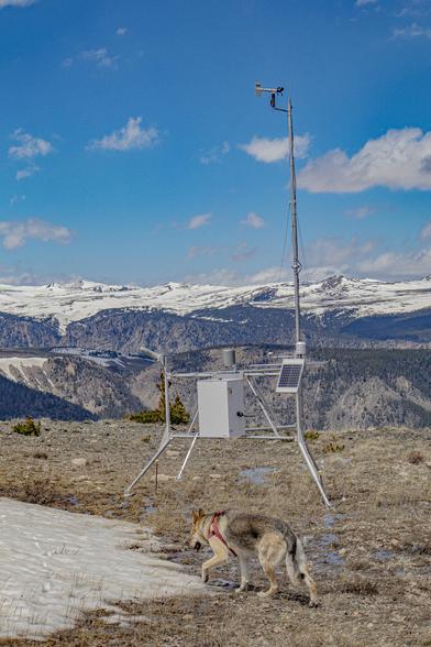 Put in two years ago, so glad. If we are going to have a strong windstorm in town, especially a mountain wave event, shows up here first. I sure hope there continues to be funding for its maintenance. https://mesowest.utah.edu/cgi-bin/droman/meso_base_dyn.cgi?stn=TT839&time=GMT