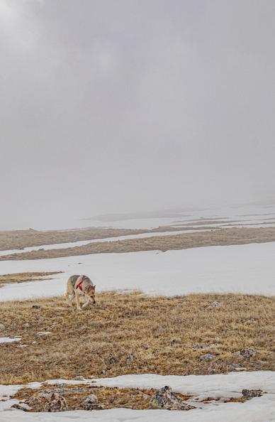 fog rolling in 3250m here on our first ski. turned back, need to see here!