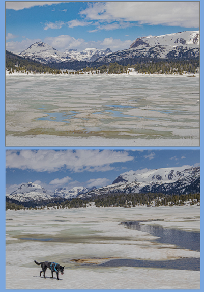 3000m Island Lake is opening up. Glad the snowpack was still firm, we had great time there.