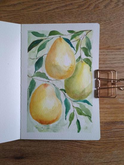 This is a watercolor painting of three pears on branches with leaves. It's painted in portrait orientation in a Wonder Forest sketchbook. It has a clean white border with some hazy greens in the background. The three pears are offset one another. Two are warm yellow and third is greenish yellow with highlights on the right side. The leaves are long and thin in various shades of green.