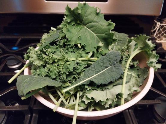 It's happening! Today's small harvest.