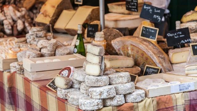 French cheeses ‘risk extinction’ because of fungi decline