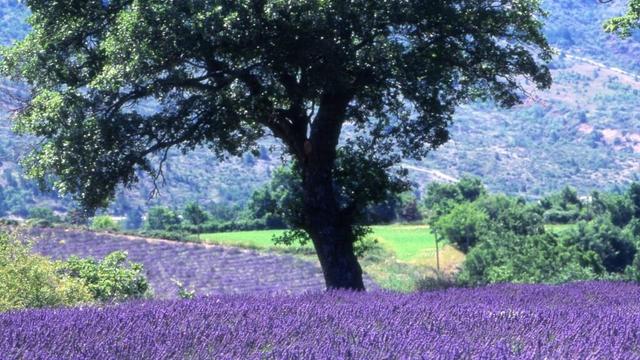 Urlaub in Europa: Reisebus-Routen bieten atemberaubende Ausblicke