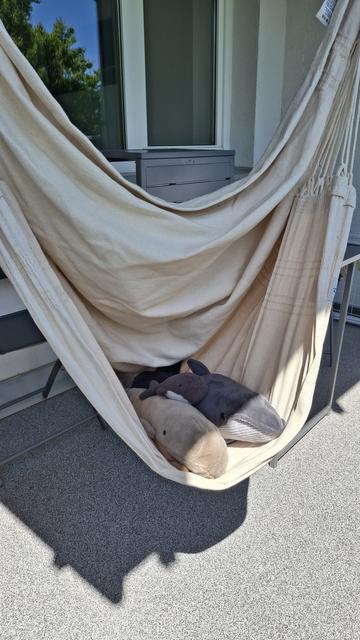 Die Walis entspannen im Hängemattensessel im Balkon