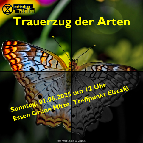 Quadratisches sharepic auf dem ein Schmetterling zu sehen ist. Das Quadrat ist in vier Sektoren unterteilt, die von links oben nach rechts unten immer dunkler werden. In gelb ist zu lesen: "Trauerzug der Arten" und Ort und Zeit der Veranstaltung.