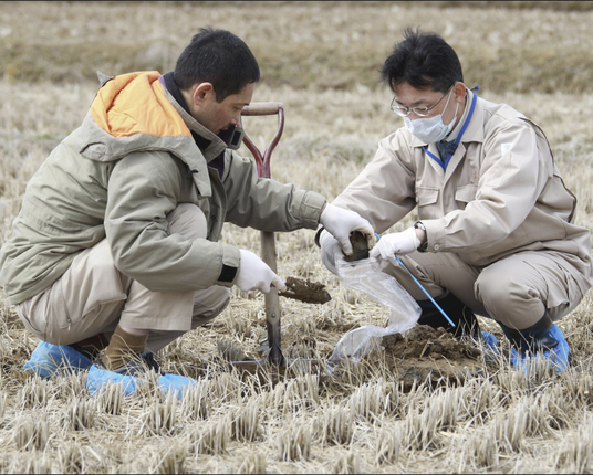 Fukushima Prefectural officers collect soil to check if it is contaminated by radioactive materials in 2011.
Photograph: Tsuyoshi Yoshioka/AP