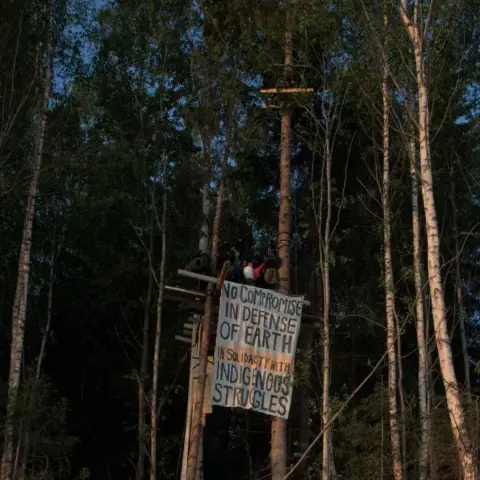 Ein entstehdnes Baumhaus in Norwegens Wald. Zu sehen sind zwei Menschen auf einer Plattform, die zwischen zwei Bäumen hängt. Der Tag ist sonnig.