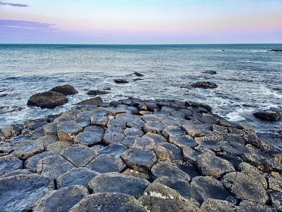 A wide shot of the Giant's Causeway in Northern Ireland at dusk. The foreground is dominated by the dark, hexagonal basalt columns forming a natural pathway leading into the calm, blue-grey sea. The water shows gentle ripples and white foam from small waves. The horizon features a soft gradient sky with the pale purples and blues of sunrise . A single small bird is visible in the upper left of the sky