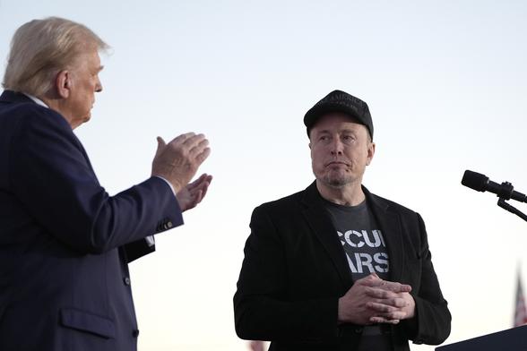 A chicken-hawk and a banana-nazi