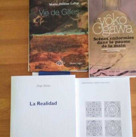 Vie de Gilles de Marie-Hélène Lafon (et peintures de Denis Laget), éditions du Chemin de fer ; Scènes endormies dans la paume de la main de Yoko Ogawa (trad. Sophie Refle), Actes Sud ; La Realidad de Neige Sinno, POL ; Hortus conclusus de Karim Kattan, l'extrême contemporain