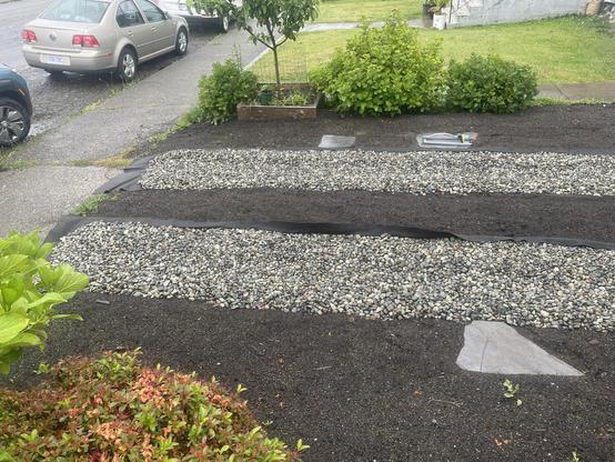 a wide view shows a hint of green over the brown strips in the driveway