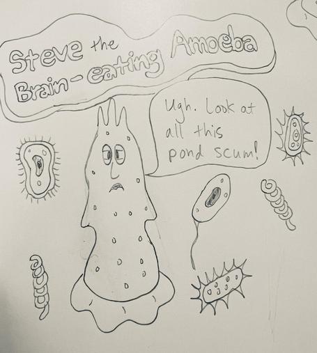 Title says “Steve the Brain-eating Amoeba.” Below, a drawing of an amoeba with a face saying, “Ugh. Look at all this pond scum.” He’s surrounded by various other amoebas and bacteria.