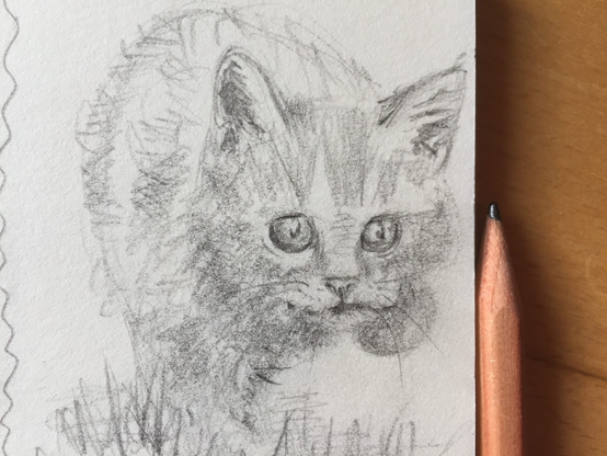 Handmade black and white pencil drawing of a running cute cat by artist Karen Kaspar