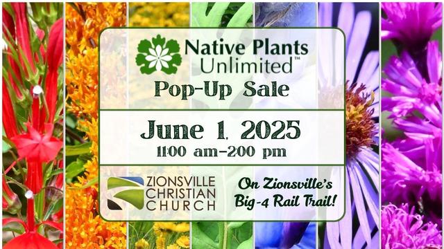 A colorful promotional graphic for a "Native Plants Unlimited" pop-up sale featuring various plants. Details include the date (June 1, 2025), time (11:00 AM - 2:00 PM), and location (Zionsville Christian Church)