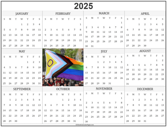 A graphic showing a very boring 2025 calendar, laid out in a grid, except the month of June has been cut out, and replaced with a photo of a big intersex-inclusive Progress Pride flag at a protest against Victor Orbán's pride ban, in Budapest.