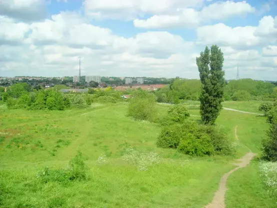 The image depicts a scenic landscape featuring a field with green grass and scattered trees. In the background, there are some buildings and urban structures under a partly cloudy sky. The foreground shows a path winding through the greenery, suggesting a natural outdoor setting.

Image Credits: Wikimedia / Pafcool2 / Public domain