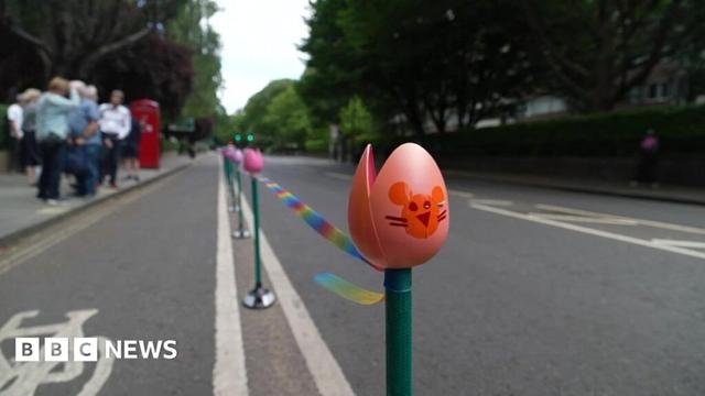 The colourful new tulips bollards lining a bike lane in Sussex Gardens with a cyclist riding in the bike lane and a car on the road outside of the bike lane